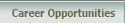 Career