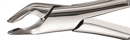Extracting Forceps Apical Lower Universal Ea thumbnail 14