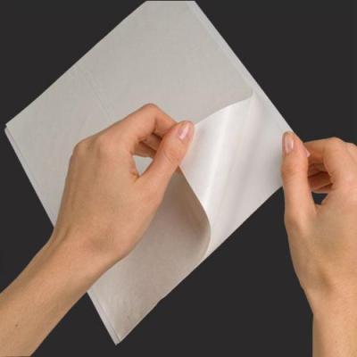 Roller Processor Cleaning Films, 2000XR, 12/Pk, 40140 thumbnail 8