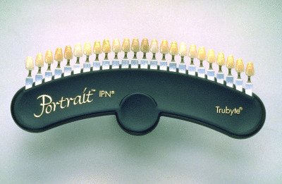 Portrait IPN Shade Guide Ea thumbnail 9