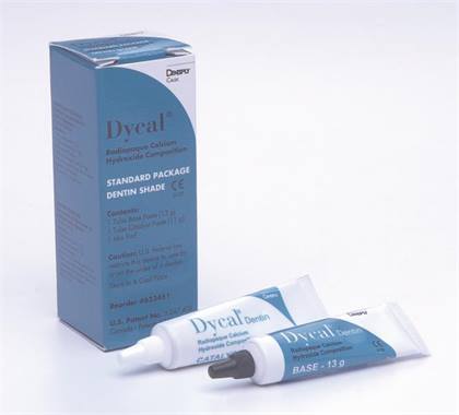 Dycal Calcium Hydroxide Cavity Liner Placement Instrument, 1/Pk product image