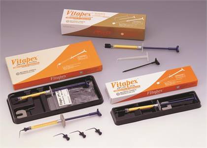 Vitapex Temporary Filling Material Paste 2 Gm Pk thumbnail 11