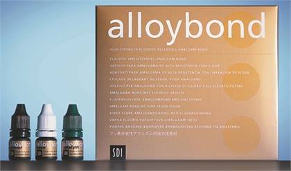 -Alloybond Kit product image