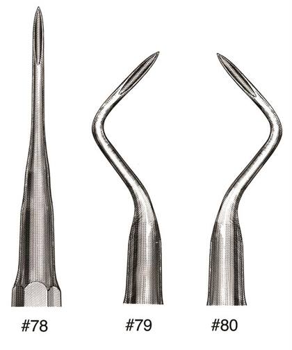 Miltex - 79 Root Tip Elev. thumbnail 9