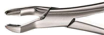 53R Forceps, F53R thumbnail 11