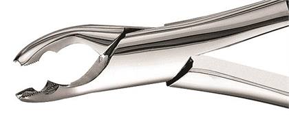 Extracting Forceps Size 151AS Split Lower Ea product image