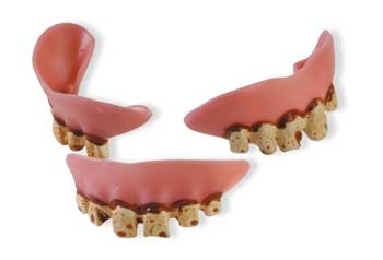 No Cavity Club Sticker (100) product image
