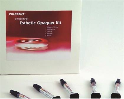 Embrace Esthetic Resin Opaquers, Light-Cure, Syringe Refill, 2.1 g, Bleach White, 1/Pk, EMO1 thumbnail 13