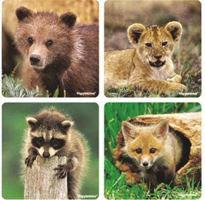 -BABY ANIMAL STICKER ROLL ASST. 2.5" (100/ROLL) product image