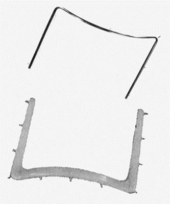 Rubber Dam Holder, 2210 Endo Frame with 11-Tines, 1/Pk, 171401 product image