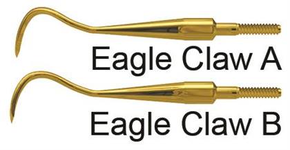 Quik-Tip Sickle Scaler, XP, Eagle Claw A, Cone Socket, Stainless Steel, 1/Pk, AESECAXPQT thumbnail 14