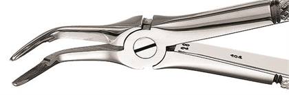 Forcep Root #46L, FX46L thumbnail 15