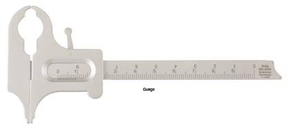 Gauge Boley 0-100 mm Ea product image