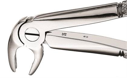 22 European Forceps, FX22 thumbnail 8