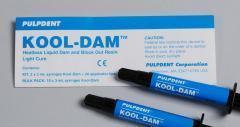Kool-Dam Liquid Dam and Block-Out Resin, Light-Cure, Bulk Pack, 3 ml, 10/Pk, PDB thumbnail 13