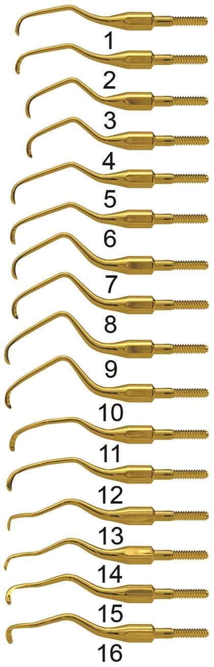 Standard Gracey Curette, XP, Quik-Tip, # 2, Cone Socket, Carbon Steel, 1/Pk, AEG2XPQT thumbnail 10