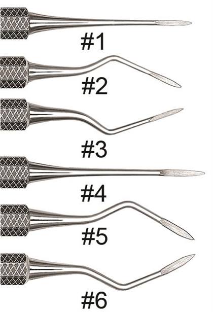 Root Tip Pick Size 1 West Apical Single End Ea thumbnail 9