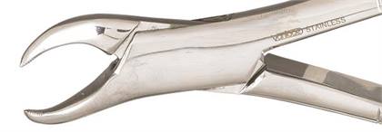 Vantage Extracting Forceps Size 23 Serrated Univ 1 & 2 Lwr Mols Cwhrn Ea thumbnail 10