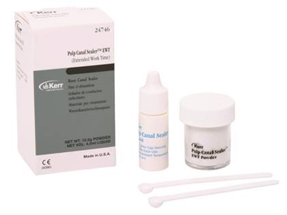 Pulp Canal Sealer EWT, Powder 10.5 g, 1/Pk, 24745 product image