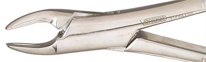 Vantage Forceps Size 150S SG Serrated Univ Upr Incsrs Bicspds & Rts pd Ea thumbnail 4