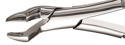 Extraction Forceps, Upper Molars, # 10S, 1/Pk, F10S thumbnail 11