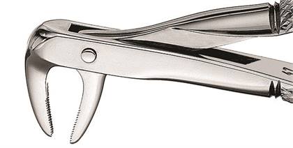 Hu-Friedy - Forceps #74N Europ., IM Roots narrow product image
