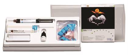 Telio CS C & B Automix Refill, 78 g, A2, 1/Pk, 628246 product image