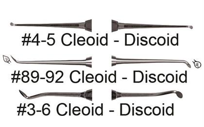Cleoid-Discoid #89/92 (Medium) product image