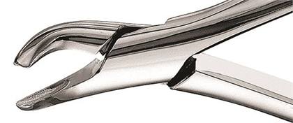 Presidential Extraction Forceps, Pedodontic Series, # 151S, 1/Pk, F151S thumbnail 15