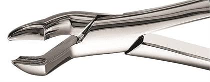 53L Forceps, F53L thumbnail 11