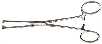 Straight Allison Tissue Forceps thumbnail 6