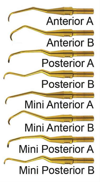 Quik-Tip Double Gracey Curette, XP, Anterior A XP Quik-Tip, 1/Pk, AEDGAAXPQT thumbnail 8