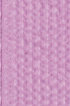 Advantage Plus® Patient Towel 18" x 13" Peach 3-Ply Tissue 1-Ply Poly Case of 500 product image