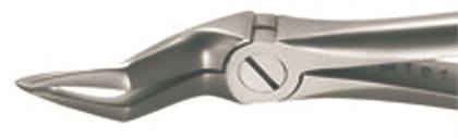 XCISION Extracting Forceps Size 51SB Tapered Upper Root Universal Ea product image