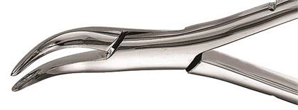 Presidental Root Forceps, Serrated, # 301, 1/Pk, F301 thumbnail 16