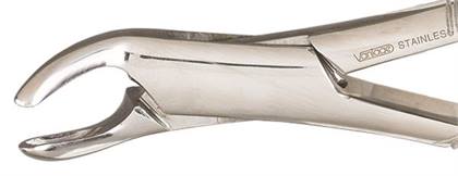 Extraction Forceps, Vantage, Serrated, Universal, # 151, 1/Pk, V90-151-SG thumbnail 5