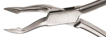 #18 Rongeur thumbnail 7