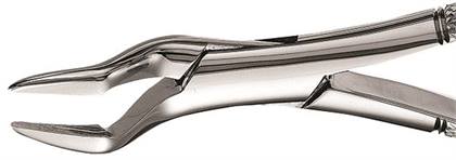 Extracting Forceps Size 32 Parmly Upr Canins Premosl & Mols Univ Ea thumbnail 7