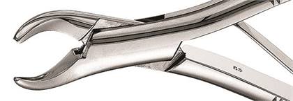 Extracting Forceps Size 151K Lower incisors Premolars And Roots Kinder Pedo Ea thumbnail 10